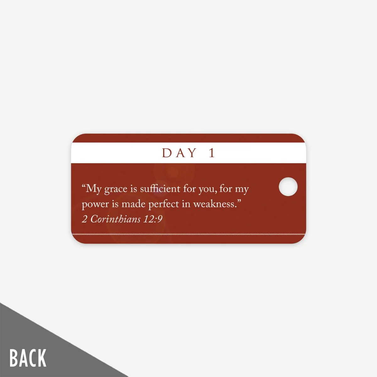 The Landing - Day 1 Milestone Marker (5 Pack) - Image 3